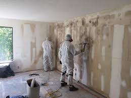  Sonterra, TX Mold Removal Services Pros